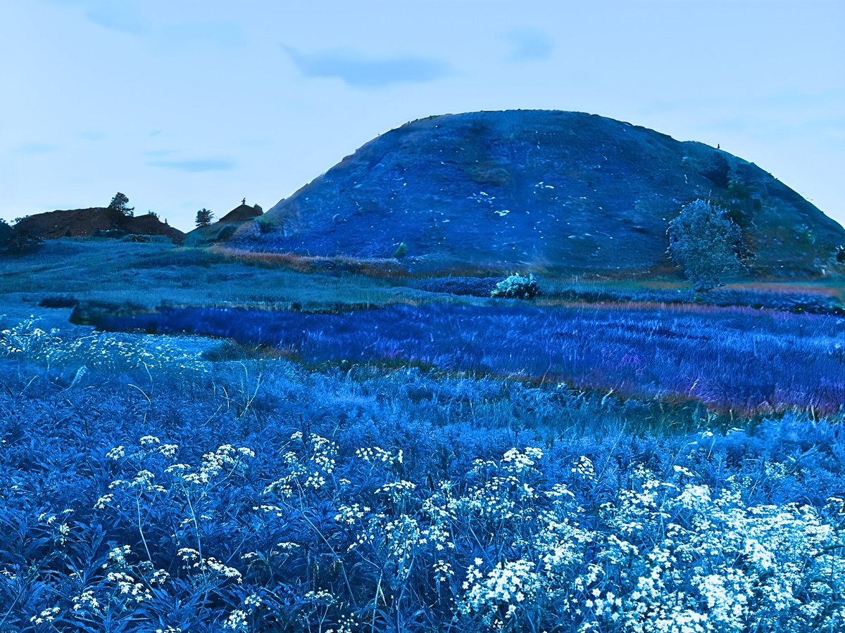 2/2 Matt’s series of reports and #MiningLandscapes  first phase will culminate in the Five Bings co-produced art exhibition <a href="/StirUni/">University of Stirling</a> by <a href="/yweighandlyle/">Yvonne Weighand Lyle</a> inspired by botanical gathering and #cyanotype printing at the Coalscapes events see 👉mining-landscapes.org/news