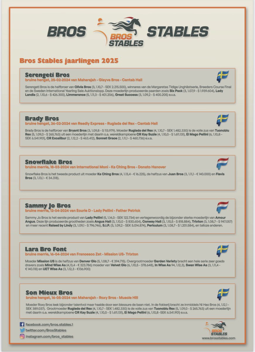 Bros Stables 2025 yearlings!
See you at the auctions.
Elitauktion, Jägerso Derby auction, Deauville sales &amp; Wolvega yearling auction.