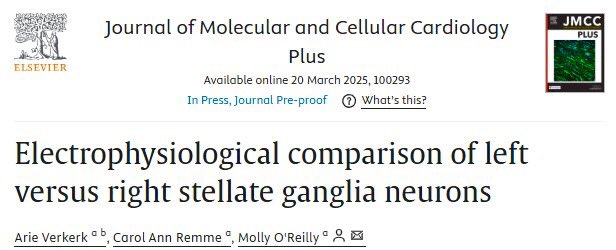 Molly O'Reilly (@mollyoreillyy) on Twitter photo My first last-author paper is now online! 🎉
We provide detailed characterisation of the functional properties of the neurons that innervate the heart and modulate its function.
Thrilled to have this work published! 🫀🧠
<a href="/amsterdamumc/">Amsterdam UMC</a>
sciencedirect.com/science/articl… My first last-author paper is now online! 🎉
We provide detailed characterisation of the functional properties of the neurons that innervate the heart and modulate its function.
Thrilled to have this work published! 🫀🧠
<a href="/amsterdamumc/">Amsterdam UMC</a>
sciencedirect.com/science/articl…