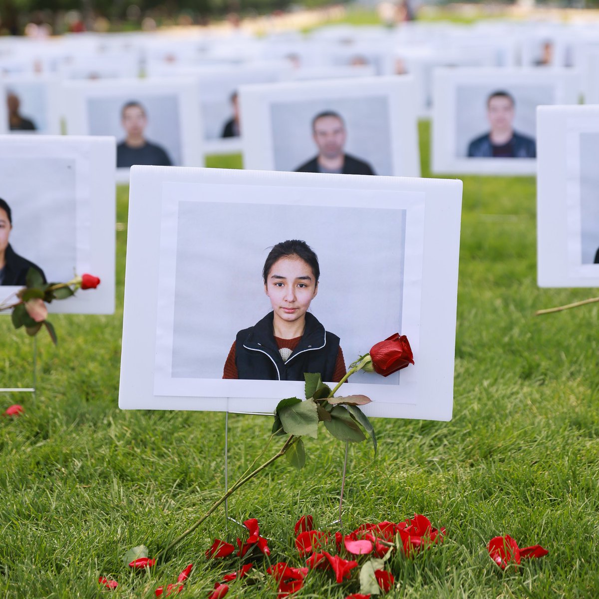 Kalbinizde yarasız bir yer kaldı mı ki, Uygur Türkleri için üzülesiniz?

Sonradan öğrendim… Toplama kampına alınan bu küçük kızın adı Rahile, yaşı da 15’miş.

Daha açılmadan solmuş bir gonca,
tüm masumların kaderi gibi.