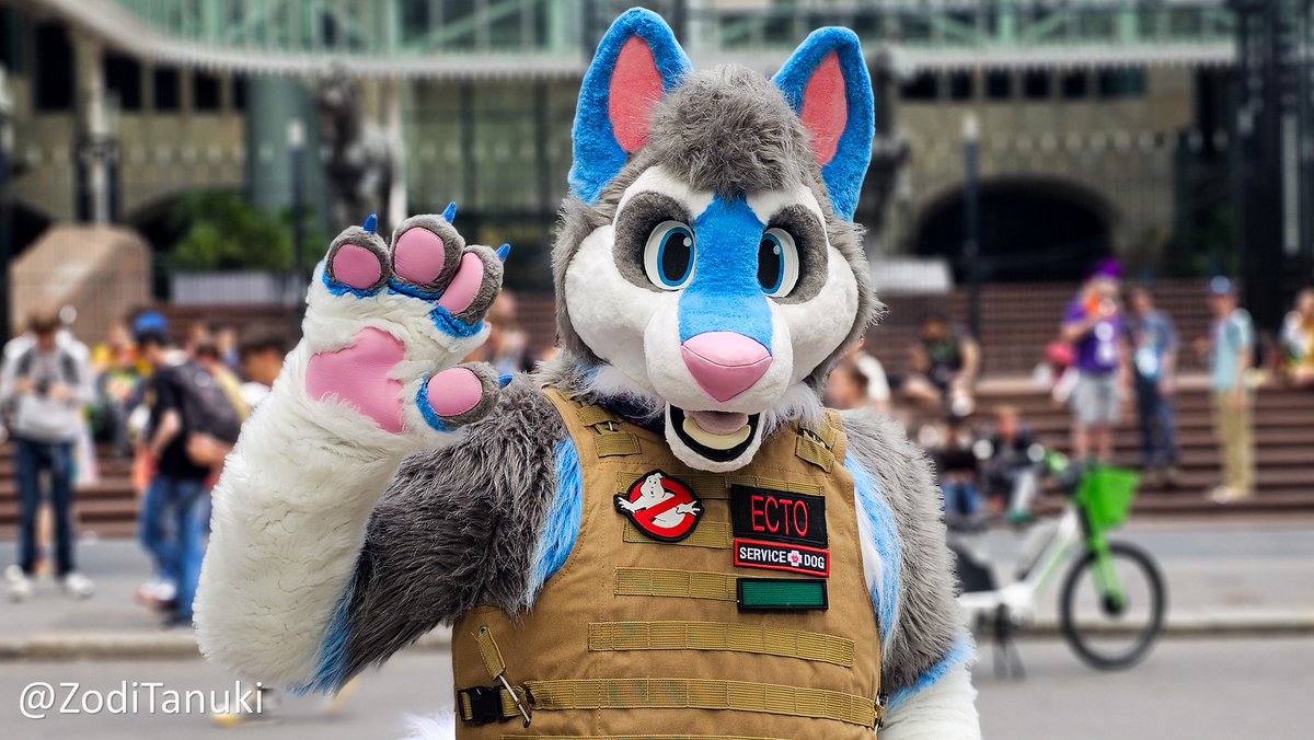 💙 Merry #FursuitsFriday everyone 💙

I hope you've all got a great weekend ahead of you ^^

📷 <a href="/ZodiTanuki/">Zodi</a>
🧵 <a href="/MadeByMercury/">Made By Mercury</a> 

#fursuit #FursuitEveryday #fursuiting #furryfandom #Fursona #fluffyboi