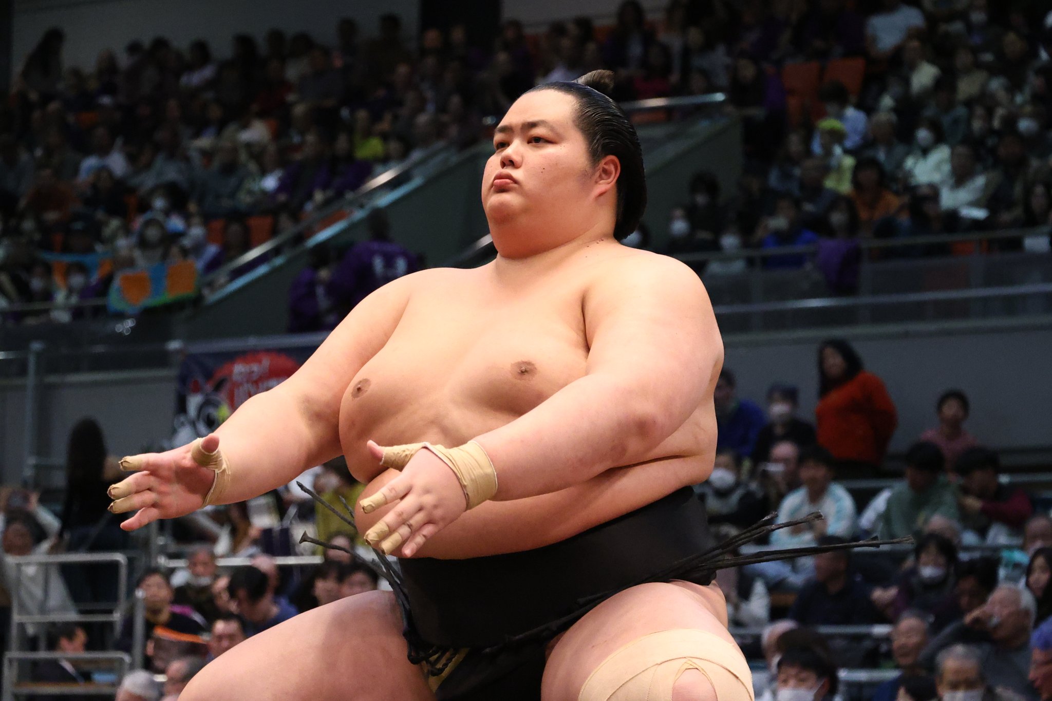 日本相撲協会公式 on X: 