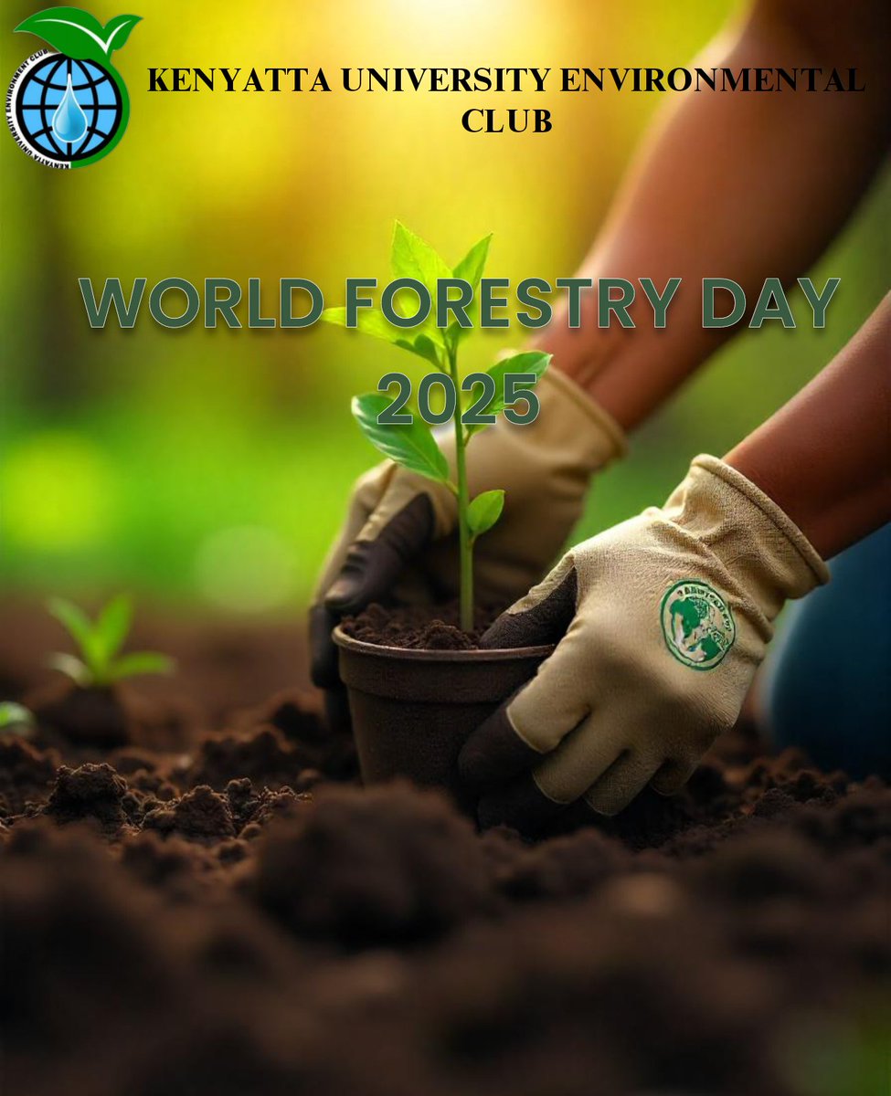 Kelly Wise tweet media