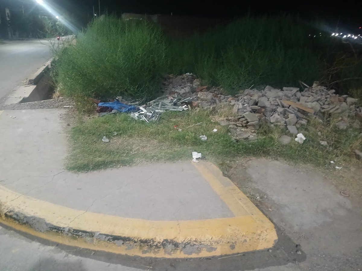 luceronnatalia's tweet photo. Buen dia @lasherasmza en la parada esq Ilalnes &amp; Almirante Brown . Acá cerquita , los yuyos miden 1 metro..
@mnvadillo @lasherasmza @mdzol https://t.co/FbktfGu8xR