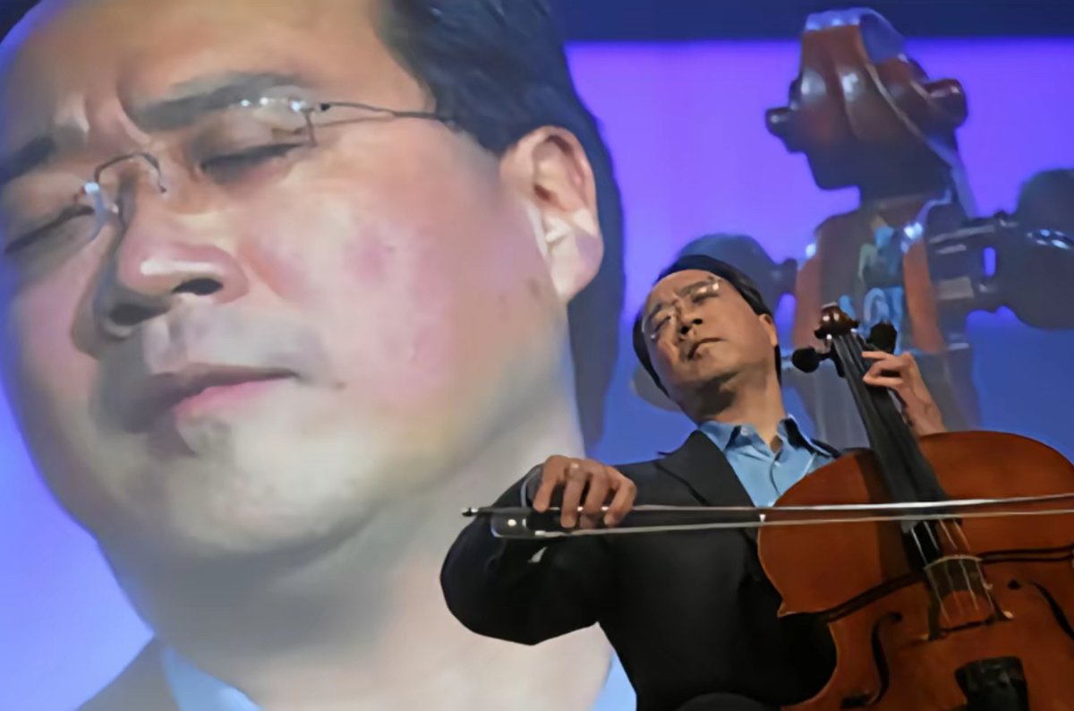 Me listening to my portfolio crash in slow motion 🎻😭