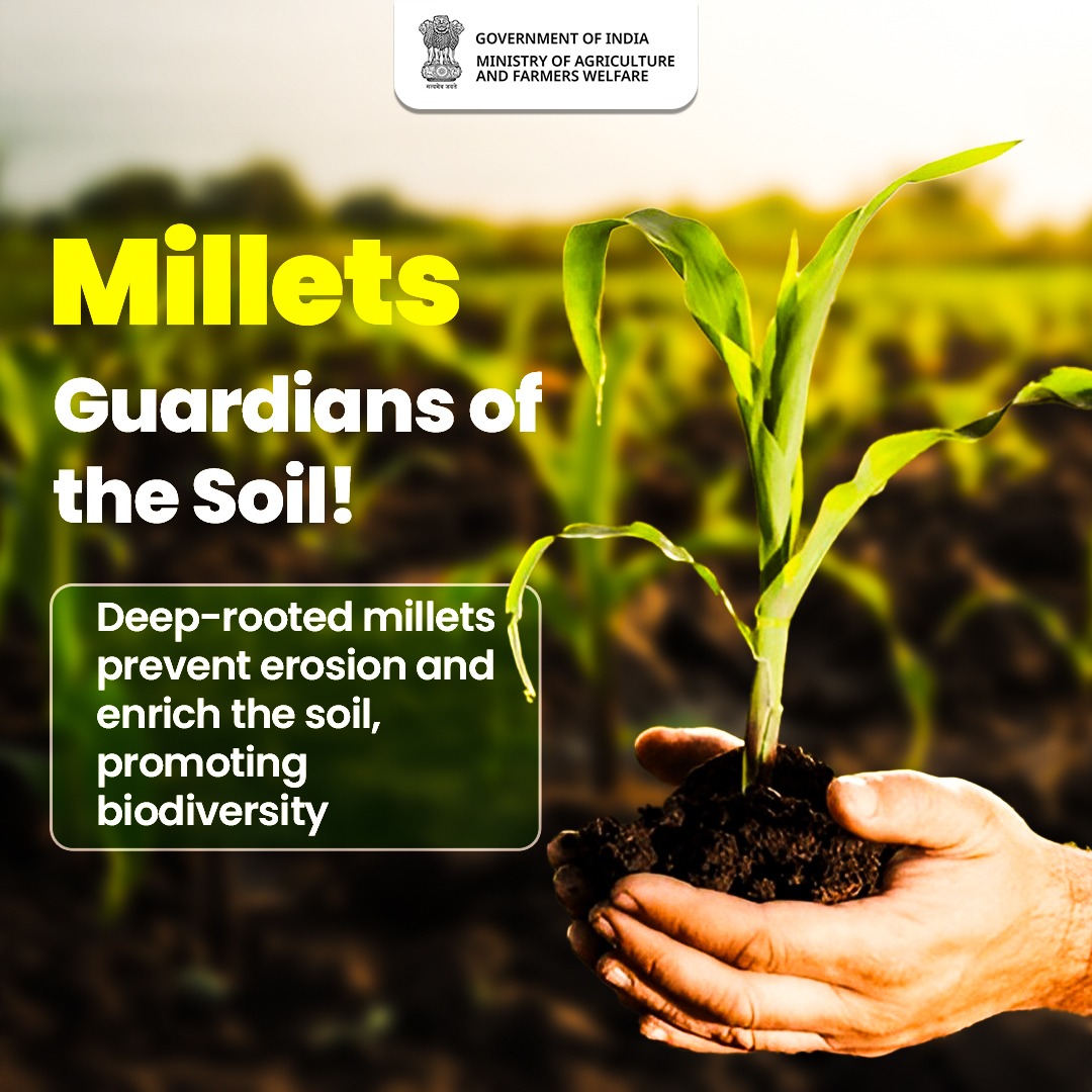 Better soil, better future! Millets nurture the earth while feeding us. 

#IYM2023 #ShreeAnna #SoilSavers