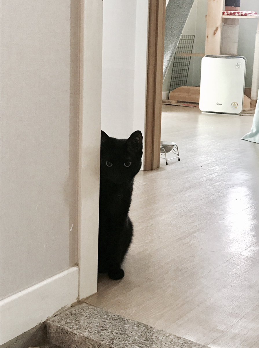 깜고는 진짜 순딩이임 그리고 바보