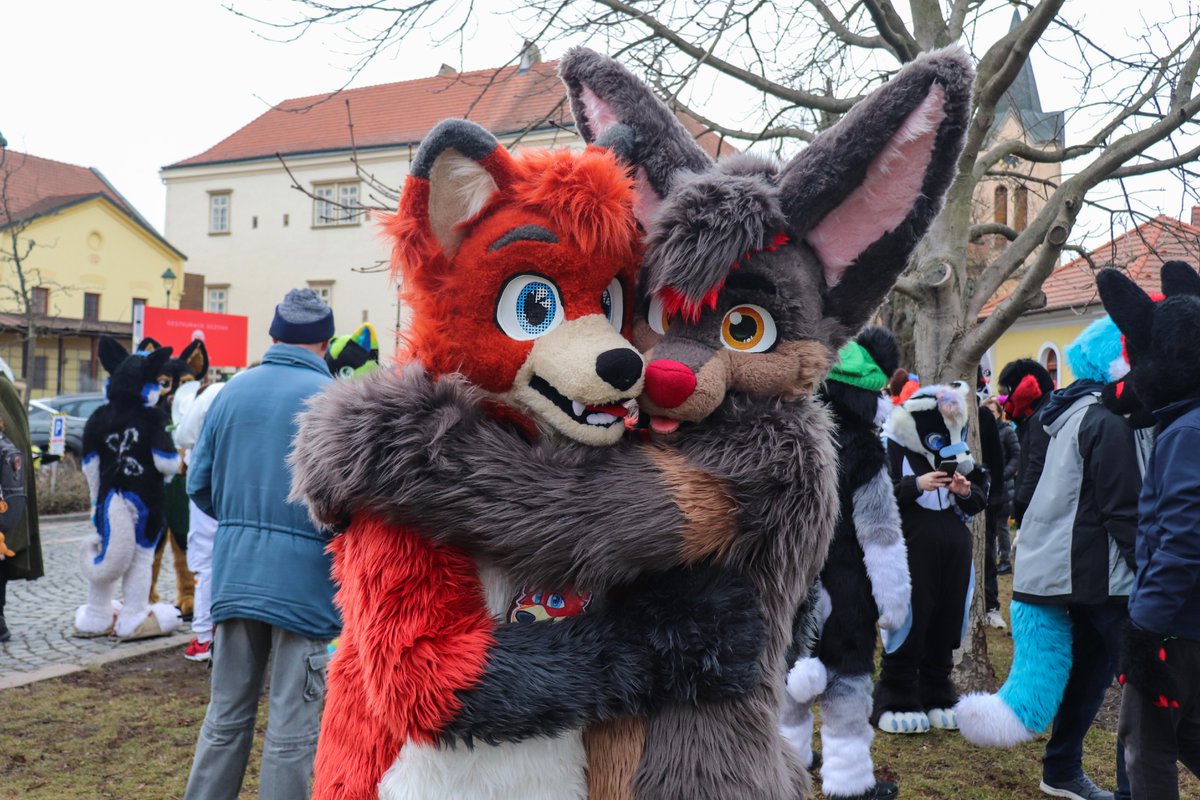 What is better than one fox? Two foxes! And this one is special. <a href="/Nick_Vulpes/">Nick Fox</a>. 😊
📷 <a href="/lukybollard/">Luky Bollard</a> 
#fursuit #FursuitsFriday #furries