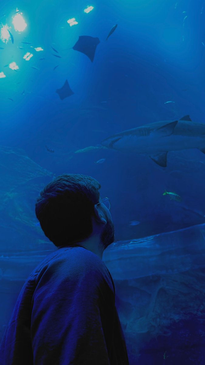 DenysNaumenko_'s tweet image. If you’re not making progress, ask yourself this:

Are you spending more time planning than doing?
Are you chasing 10 ideas at once instead of executing one?
The answers are uncomfortable. The results are worth it. 

#GrowthMindset #ExecutionOverIdeas #Entrepreneurship #WorkSmart