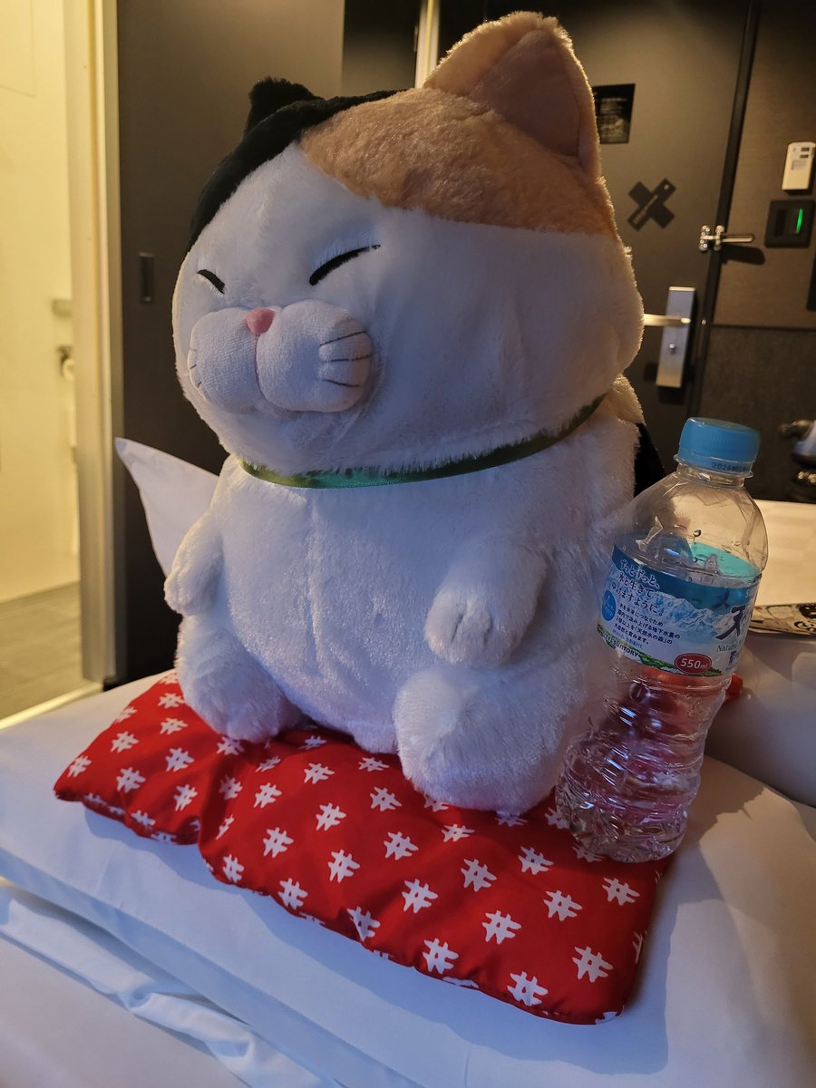 Revy_C's tweet image. Japan day 7

Akihabara! Conveyor belt sushi, spending way more than I should have on gifts, winning an absurdly huge plush from a UFO claw machine and buying something from the "Adult Only Sex Gachapon" from the corner of a Don Quixote that was next to Hololive figures.