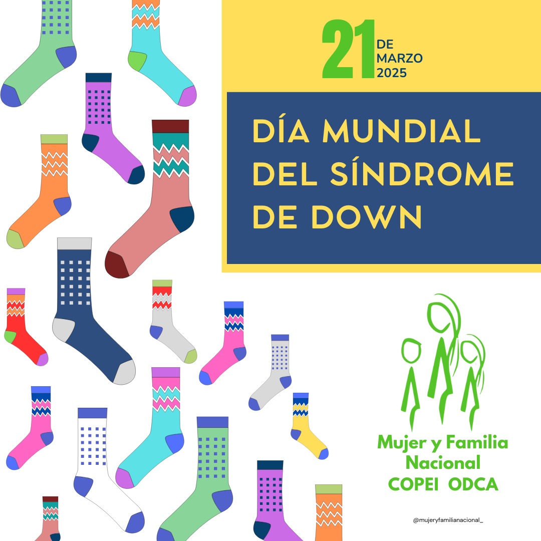 Desde Mujer y Familia en el dia internacional del síndrome de Down. reitera su compromiso con la validación de las capacidades, la dignidad y la inclusión.
Nos esforzamos en trabajar juntas por la sensibilización hacia una sociedad más justa y equitativa
#DíaDelSíndromeDeDown