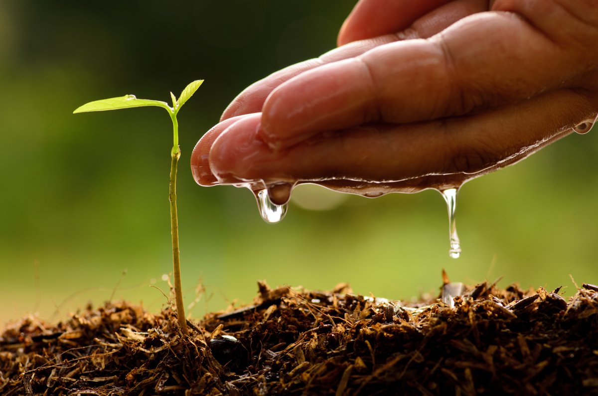 🌱💧 Wereldwaterdag! Wist je dat de landbouw ongeveer 70% van het wereldwijde zoetwater gebruikt? Door druppelirrigatie, regenwateropvang en het veredelen van gewassen zodat ze minder water nodig hebben, kunnen we water besparen. #Wereldwaterdag #Duurzamelandbouw