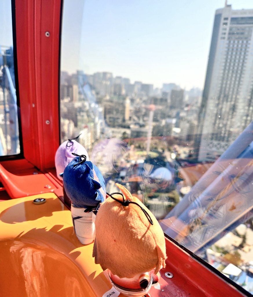 Fenrir_03's tweet photo. 観覧車🎡とお花🌼
#3SKMぱぺが見られるタグ https://t.co/sjxJQh49Vf
