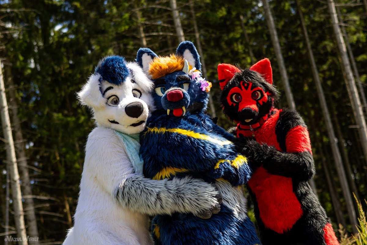 Enjoy life and don't forget to hug the one you love!
Let's enjoy our time together this #FursuitFriday  together.

📸: <a href="/VazulWolf/">Vazul 🔜 Awoostria</a> 
🔵🐺: <a href="/StejfS/">Štejf</a> 
🔴🐺: <a href="/IcanFox/">IcanFox</a> 

#furry #furryfandom #fursuit #fursuiters #furrycommunity