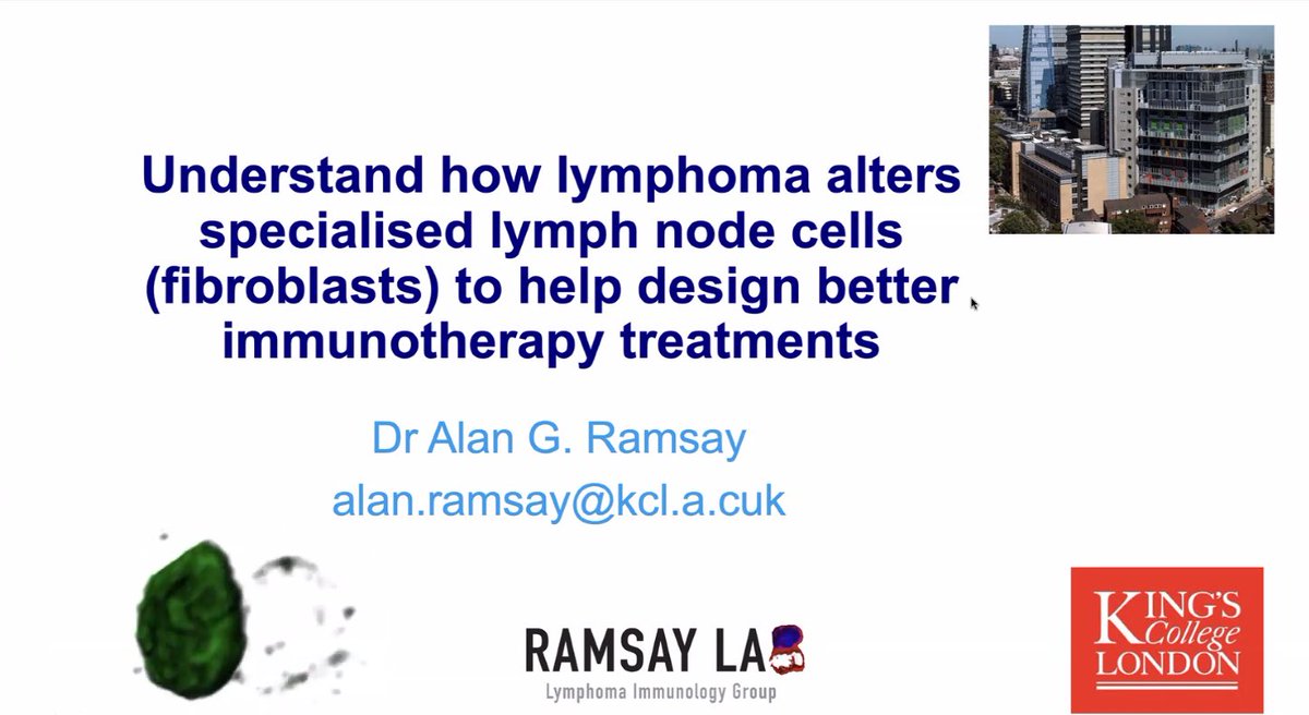 LisaWhittaker02's tweet photo. Great to hear Dr Alan Ramsay @KingsCollegeLon present his research to the South East London Cancer Research Panel @kingshealth Alan’s work focusses on lymphoma but is relevant to all cancers including lung cancer #PPI #CancerResearch #lymphoma #bloodcancer @BloodCancer_Res https://t.co/omigUz9LeW