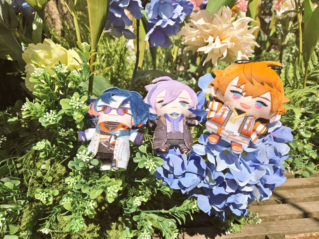 Fenrir_03's tweet photo. 観覧車🎡とお花🌼
#3SKMぱぺが見られるタグ https://t.co/sjxJQh49Vf
