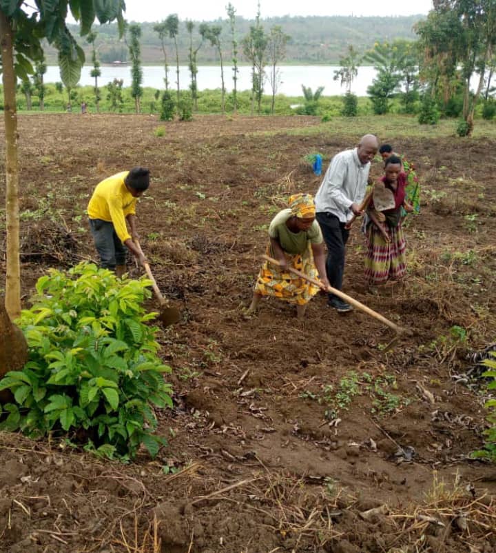 Umurenge wa Rilima - Akarere ka Bugesera (@rilimabugesera) on Twitter photo Nibyo byitwa imiyoborere myiza, umuyobozi akegera abatuge, agafatanya nabo kwiteza imbere,
Iki ni igikorwa cyakozwe kuri site y'ubuhinzi ya #Kidogo aho Umunyamabanga Nshingwabikorwa akangurira abaturage bose guhinga bakiteza imbere.
Hehe n'inzara muri <a href="/RilimaBugesera/">Umurenge wa Rilima - Akarere ka Bugesera</a> Nibyo byitwa imiyoborere myiza, umuyobozi akegera abatuge, agafatanya nabo kwiteza imbere,
Iki ni igikorwa cyakozwe kuri site y'ubuhinzi ya #Kidogo aho Umunyamabanga Nshingwabikorwa akangurira abaturage bose guhinga bakiteza imbere.
Hehe n'inzara muri <a href="/RilimaBugesera/">Umurenge wa Rilima - Akarere ka Bugesera</a>