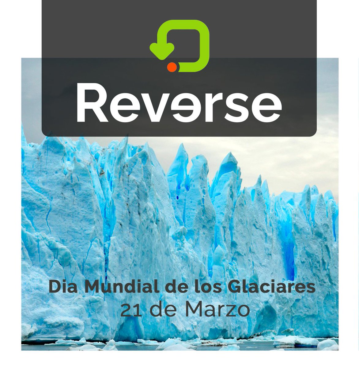 revertia tweet media