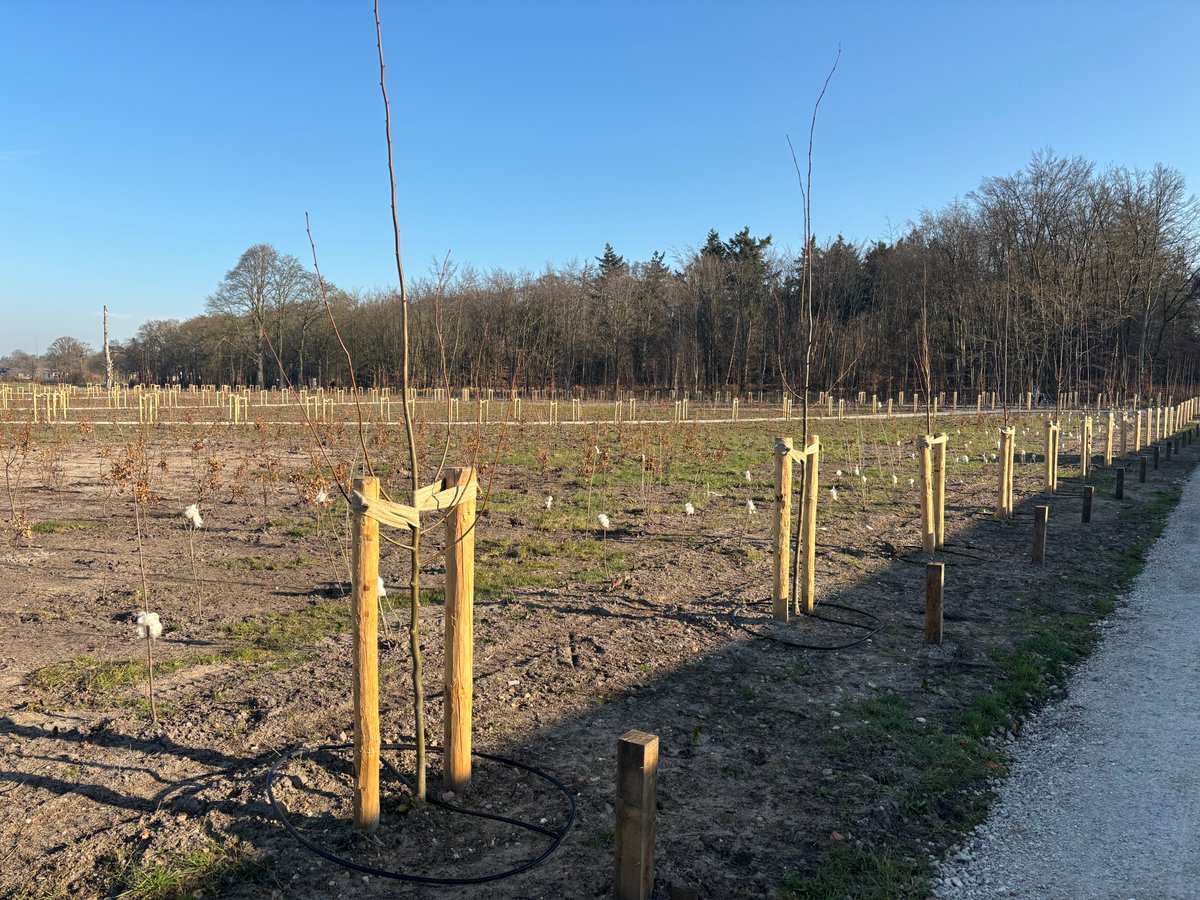 Provincie Utrecht (@provutrecht) on Twitter photo De schade die de valwind van juni 2021 aanrichtte in het Sterrenbos op het landgoed Zuylenstein is hersteld. Omringd door een grote groep betrokkenen en vrijwilligers (her)opende gedeputeerde Cultuur en Erfgoed <a href="/RobvanMuilekom/">Rob van Muilekom</a> het bos. Lees meer: bit.ly/4kWKAdI De schade die de valwind van juni 2021 aanrichtte in het Sterrenbos op het landgoed Zuylenstein is hersteld. Omringd door een grote groep betrokkenen en vrijwilligers (her)opende gedeputeerde Cultuur en Erfgoed <a href="/RobvanMuilekom/">Rob van Muilekom</a> het bos. Lees meer: bit.ly/4kWKAdI
