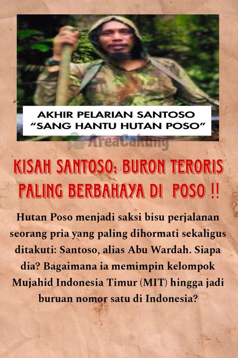 allea ayudiah tweet media
