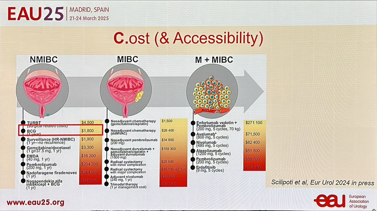 Marcelo Wroclawski (@wroclawski_uro) on Twitter photo 👑 BCG is not perfect, but it is still the best (and cheapest) option in HR NMIBC!
New trials results are welcomed!
#EAU25
<a href="/joanfundi/">Joan Palou Redorta</a> <a href="/LAUrology_NL/">Laura S. Mertens</a> <a href="/GGiannarini/">Gianluca Giannarini</a> <a href="/paolo_gontero/">Paolo Gontero</a> <a href="/ArnulfStenzl/">Arnulf Stenzl</a> 👑 BCG is not perfect, but it is still the best (and cheapest) option in HR NMIBC!
New trials results are welcomed!
#EAU25
<a href="/joanfundi/">Joan Palou Redorta</a> <a href="/LAUrology_NL/">Laura S. Mertens</a> <a href="/GGiannarini/">Gianluca Giannarini</a> <a href="/paolo_gontero/">Paolo Gontero</a> <a href="/ArnulfStenzl/">Arnulf Stenzl</a>