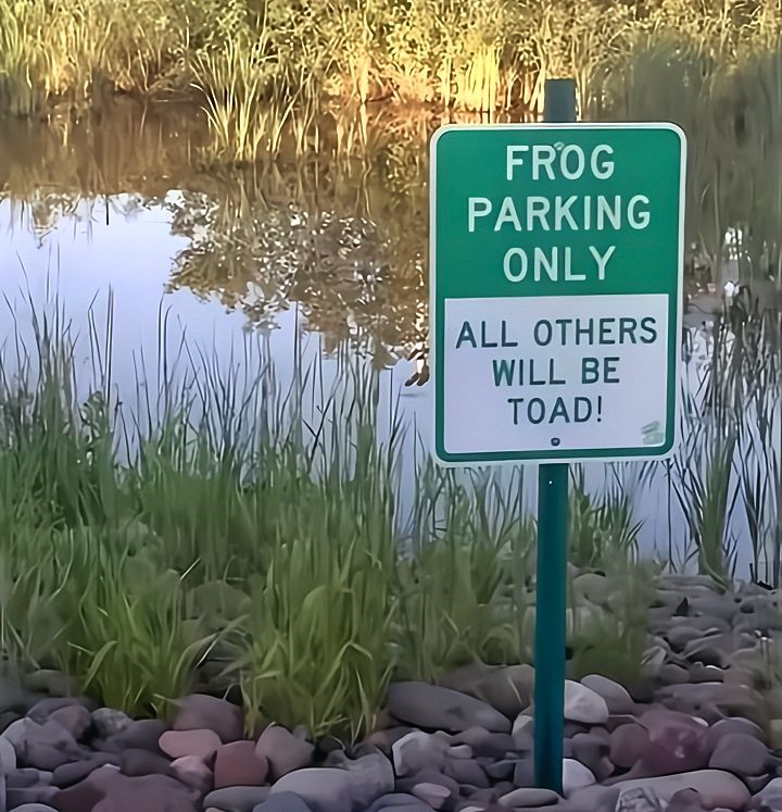 everglades's tweet photo. FRIDAY FUNNIES! OK, this is pretty cute! Be careful where you park, you just might get TOAD! 🐸 😂 

#FrogOnlyParking #YoullBeToad #ParkAtYourOwnRibbit #PunIntended #ToadallyIllegal #FrogJokes #SignHumor #PunnySign #FrogLife #HopOnOuttaHere #CroakAndDagger #FrogZone #AmphibianHumor #FrogItOrLoseIt #HoppinMad #EvergladesHolidayPark #EHP