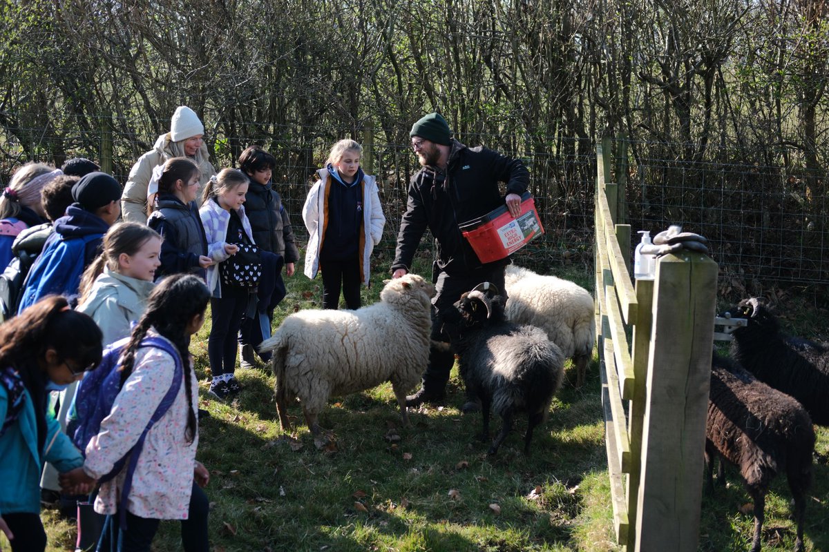 HarewoodCEPrimary tweet media