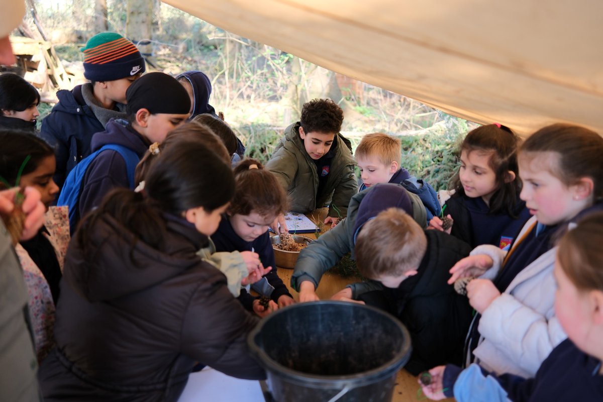 HarewoodCEPrimary tweet media