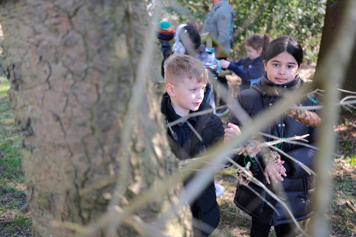 HarewoodCEPrimary tweet media