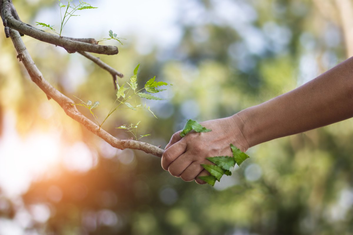 Relationships are at the heart of a thriving organisation’, is a belief held within the tigers Group.

We believe that as an employer we have a moral responsibility to create a culture, and community, where people feel emotionally safe, respected, and valued. Our approach is one