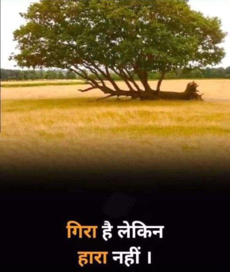 rinkusingh2025's tweet photo. गिरा है लेकिन 🌳🌳🌳🌳🌳
हारा नहीं है 🌳🌳🌳🌳🌳
🌳🌳🌳🌳🌳🌳🌳🌳🌳🌳🌳🌳🌳🌳
#Empuraan #FairDelimitation #JHOPE #BBMzansi #zelena #zeudiners #reyadh https://t.co/9ZHul27Vfz
