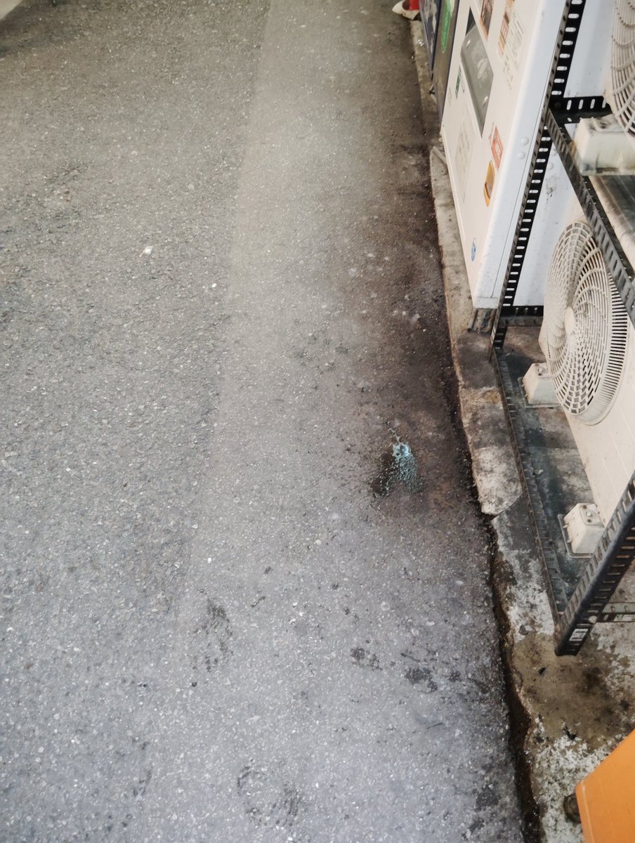 aasha_today's tweet image. 🌍 Just took action with @cleanify_vet! Picked up litter and submitted my impact to help keep our planet clean! ♻️💚 📸 

Join the movement and start making a difference at cleanify.vet! 

#CleanUpChallenge #EarthCleanup #Sustainability #VeBetterDAO #Vechain