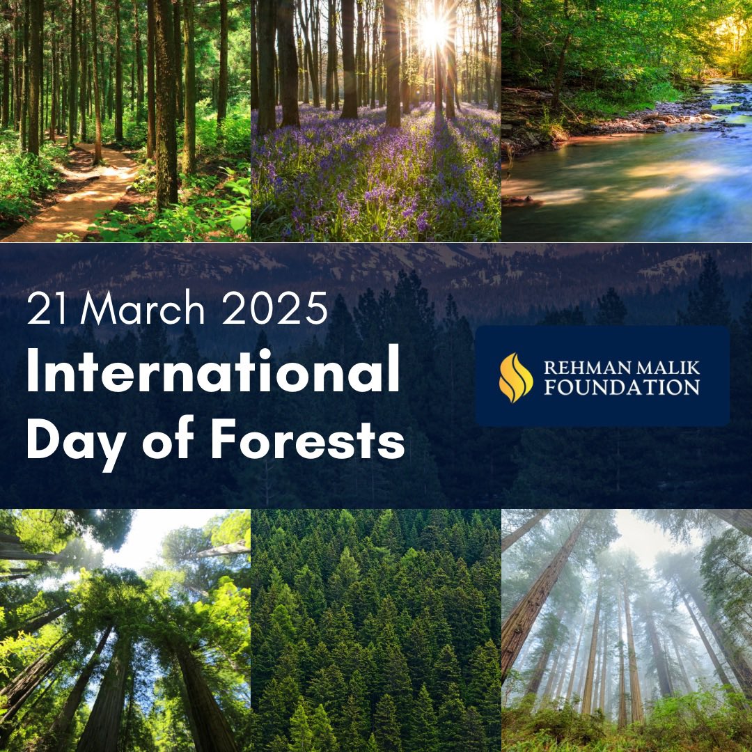 This International #ForestDay, the Rehman Malik Foundation urges action to protect #Pakistan’s 🇵🇰 forests — the country’s shield against #ClimateChange. With rising deforestation and floods, we must plant, preserve and protect.

A greener Pakistan is a safer Pakistan.