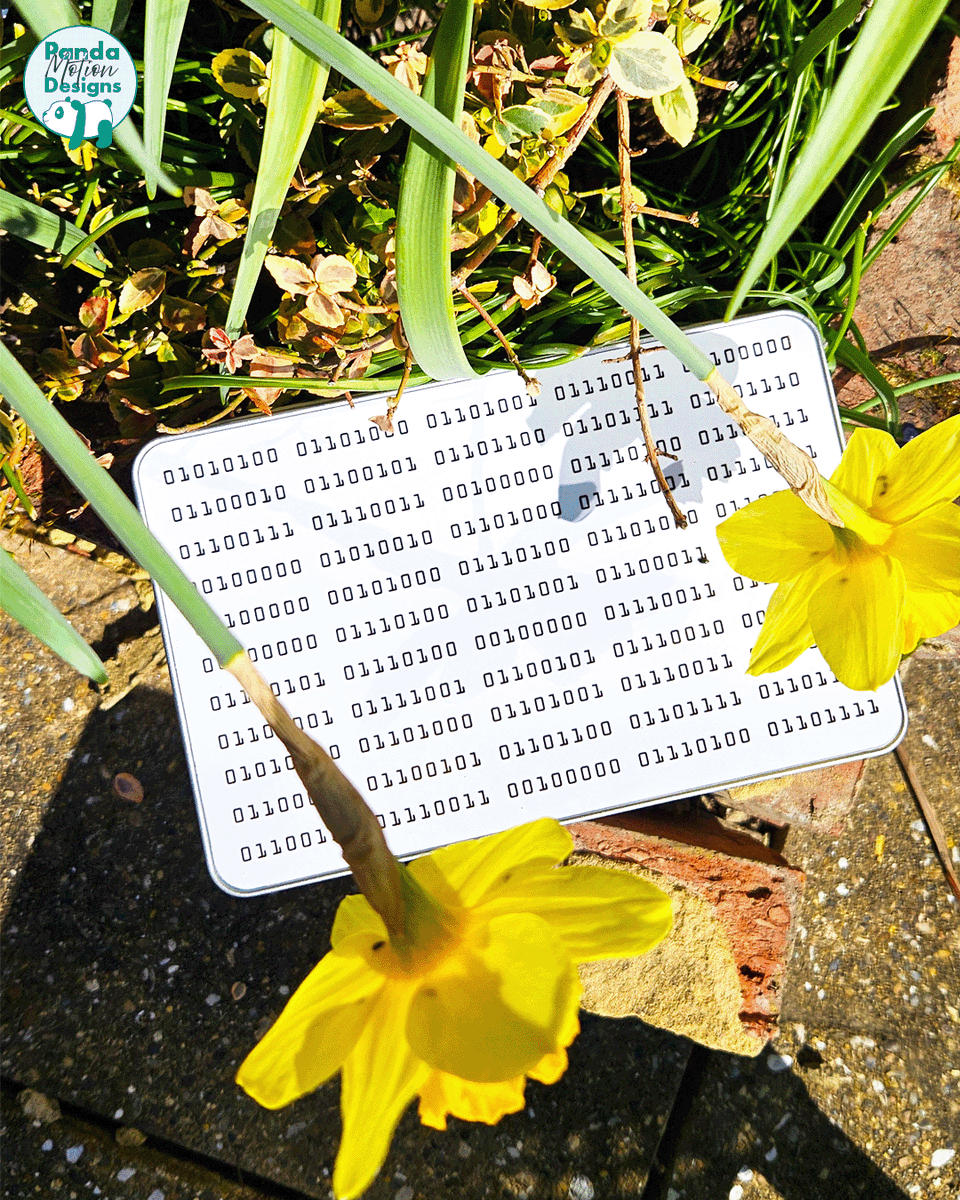 Panda Motion Designs tweet media