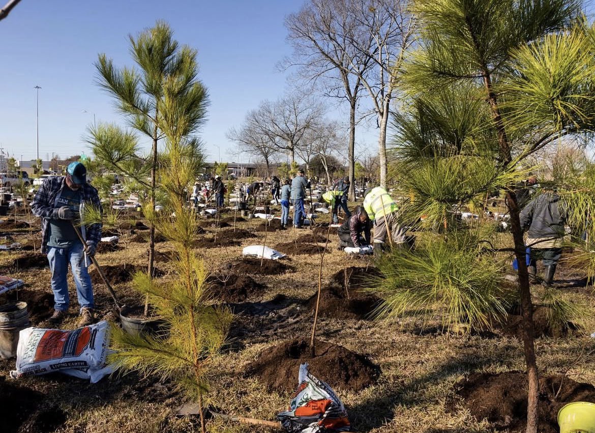Celebrating #InternationalDayofForests, we are honored to partner with organizations across the U.S. and U.K. through our Apache Tree Grant Program. 

Since 2005, over five million trees have been donated to non profit partners and government agencies.

#apachelovestrees