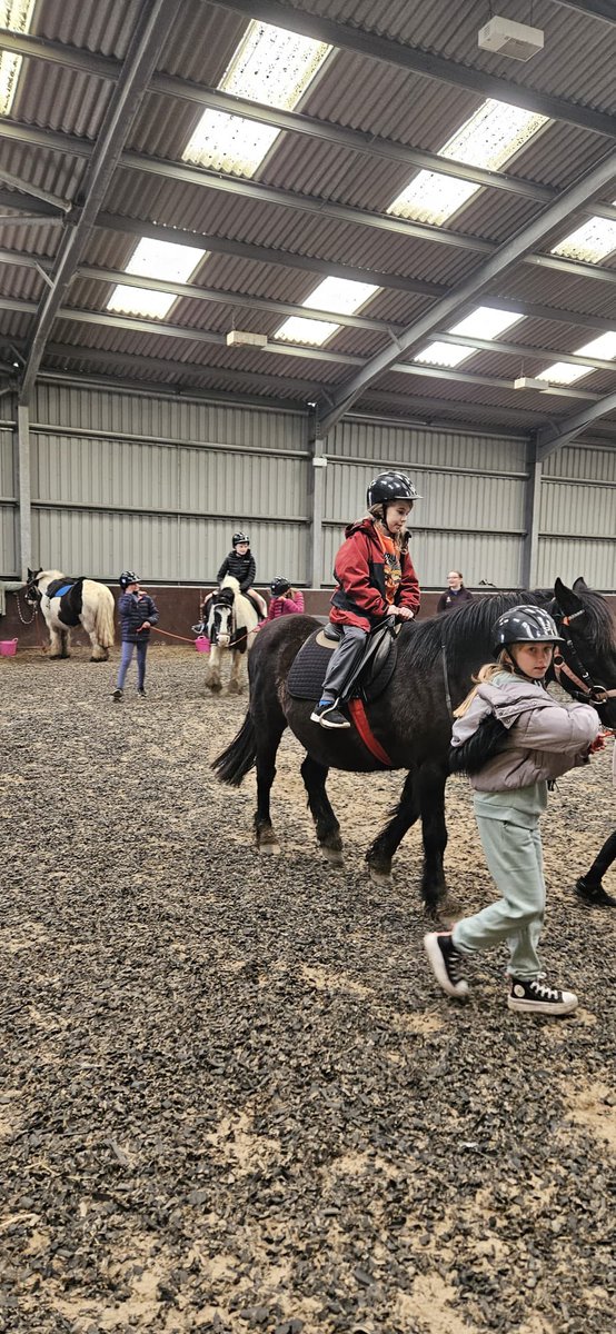 Woody <a href="/llangrannog1932/">Gwersyll Llangrannog</a>