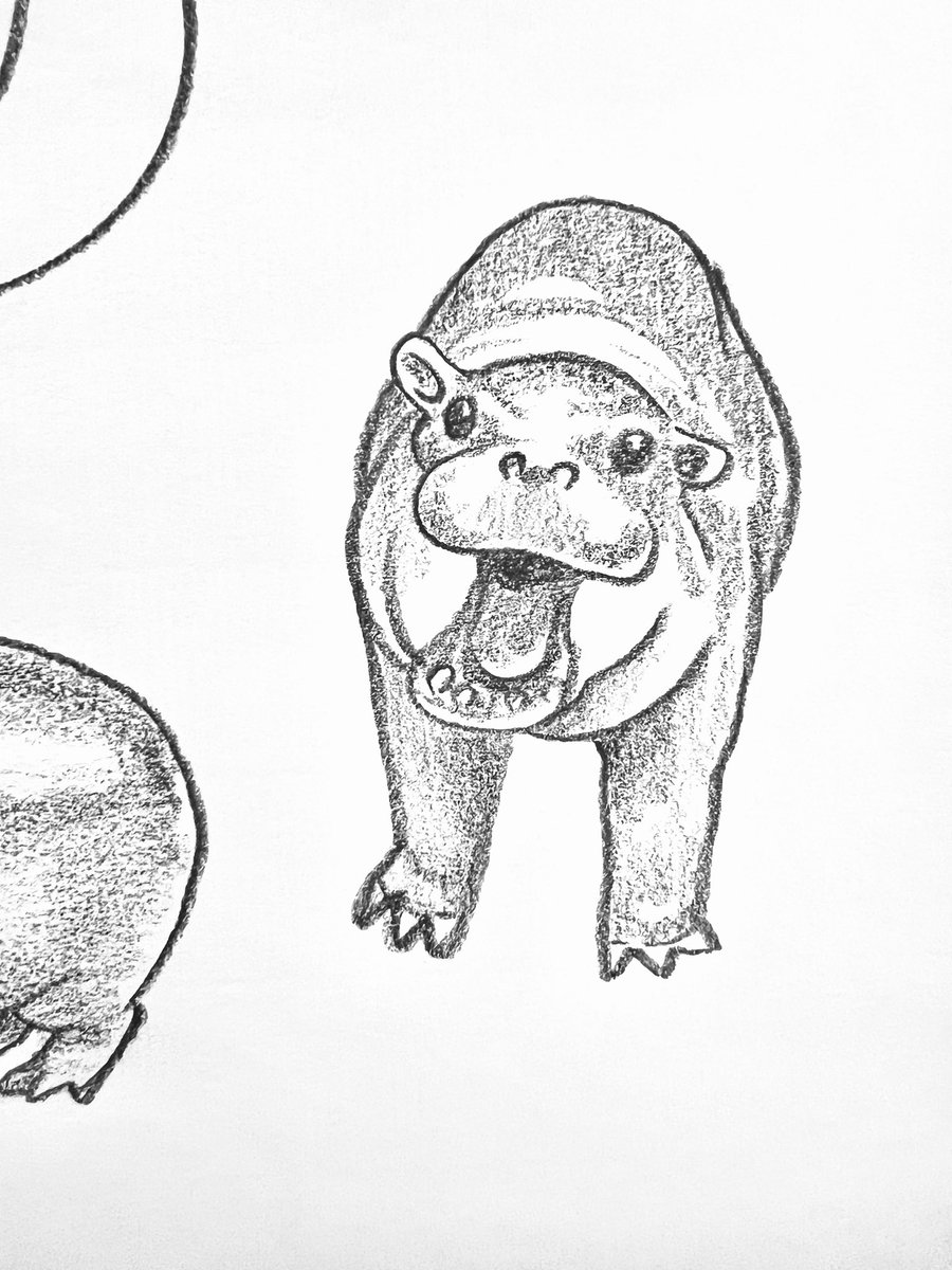 コビトカバ 
