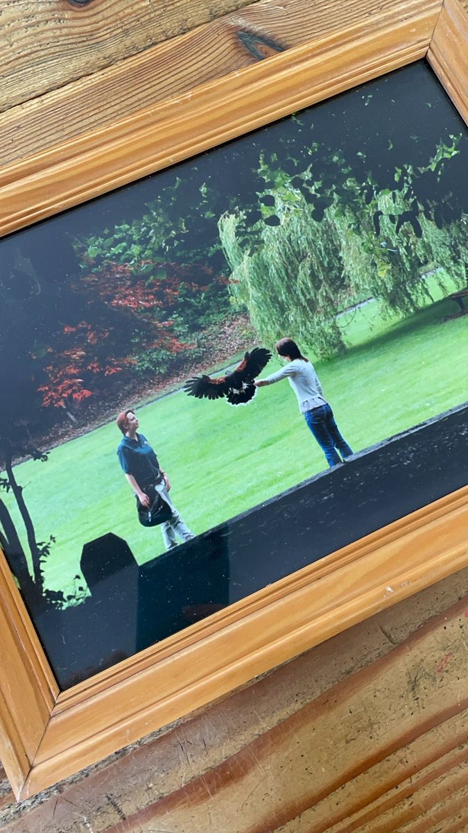 Falconry's tweet image. A blast from the past!
This was the view from the terraced garden around fifteen years ago! How beautiful it has always been. We are so lucky to call this our office ❤️
#hawkwalk #hawk #ashfordcastle #falconry #RedCarnationHotels #harrishawk