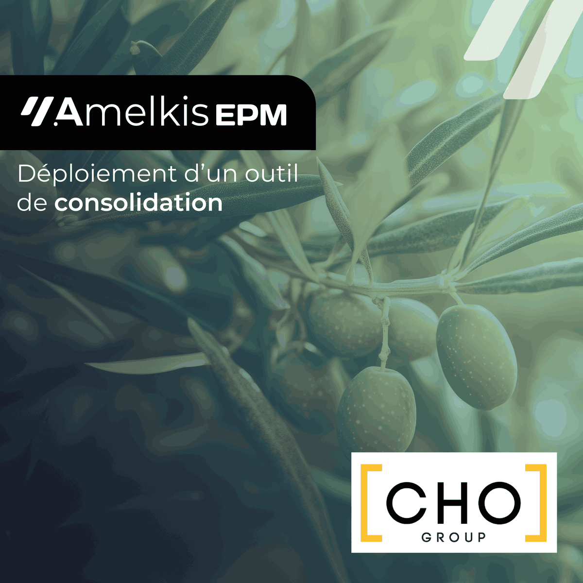 amelkis's tweet photo. 📢 CHO GROUP rejoint notre écosystème client pour réaliser sa consolidation avec notre outil Amelkis EPM ! 

Merci à CHO GROUP pour la confiance qu’ils nous témoignent ! 😊 https://t.co/W1Xlq613H1