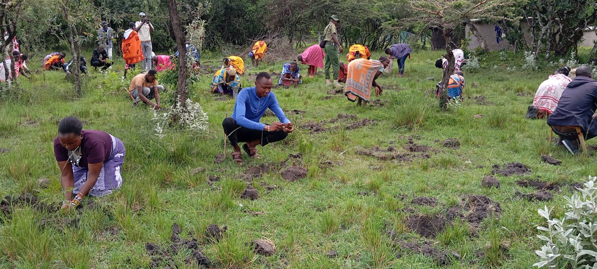 Happy #InternationalDayofForests! 🌳💚 The Naserian Saparingo Women Group is taking action by planting trees in Saparingo Nyekweri Forest. 🌿🌍

Forests provide food, water, medicine &amp; shelter—protecting them secures our future! #ForestsAndFood #WomenForForests