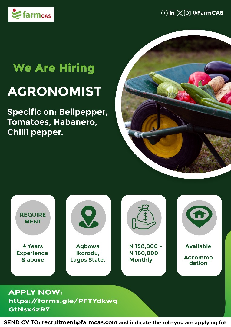 horpeeyhemii's tweet photo. Another Job Alert for You. Our client is hiring in agriculture Apply now: 1️⃣ Add the role to your email subject 📷 Attach your CV 📷 Details on the flyer. RT &amp; refer someone!  #JobsInAgriculture #FarmCAS #Capacitybuilding #humanresourcesdevelopment https://t.co/qhDUY2zWxw