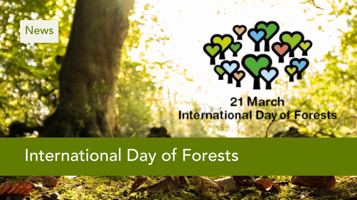 PCRS (@pcrsuk) on Twitter photo Sustainable forest management is vital for the planet and public health.
This #InternationalDayofForests, explore <a href="/NHSForest/">NHS Forest</a> resources and discover how to make your practice greener 🌳 nhsforest.org Sustainable forest management is vital for the planet and public health.
This #InternationalDayofForests, explore <a href="/NHSForest/">NHS Forest</a> resources and discover how to make your practice greener 🌳 nhsforest.org