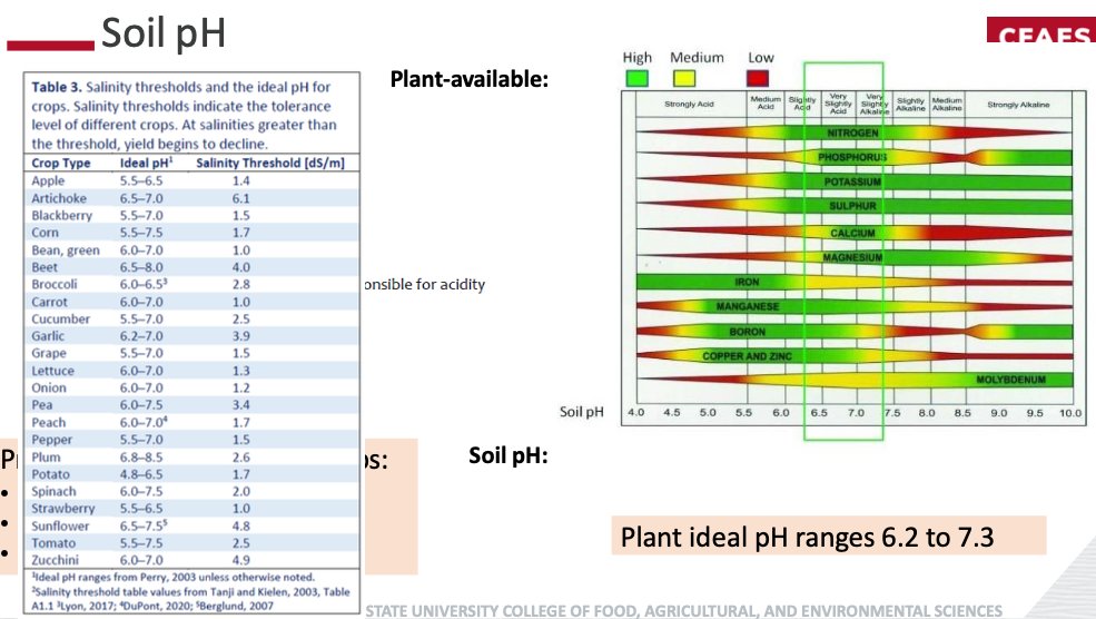 AshlandSWCD's tweet image. Ensuring you know your soil's pH is crucial for nutrient availability 🌱 Call us at 419-281-7645 for details on our soil testing program. Thanks to Fernanda Krupek for sharing this valuable information! #SoilTesting #NutrientAvailability #GoodnightGarden 🌿