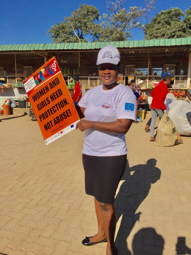 Women's Coalition of Zimbabwe tweet media