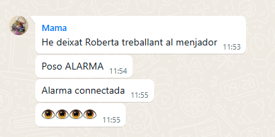 Vam comprar una Roomba a casa per Nadal: automàticament ma mare filòloga catalana: