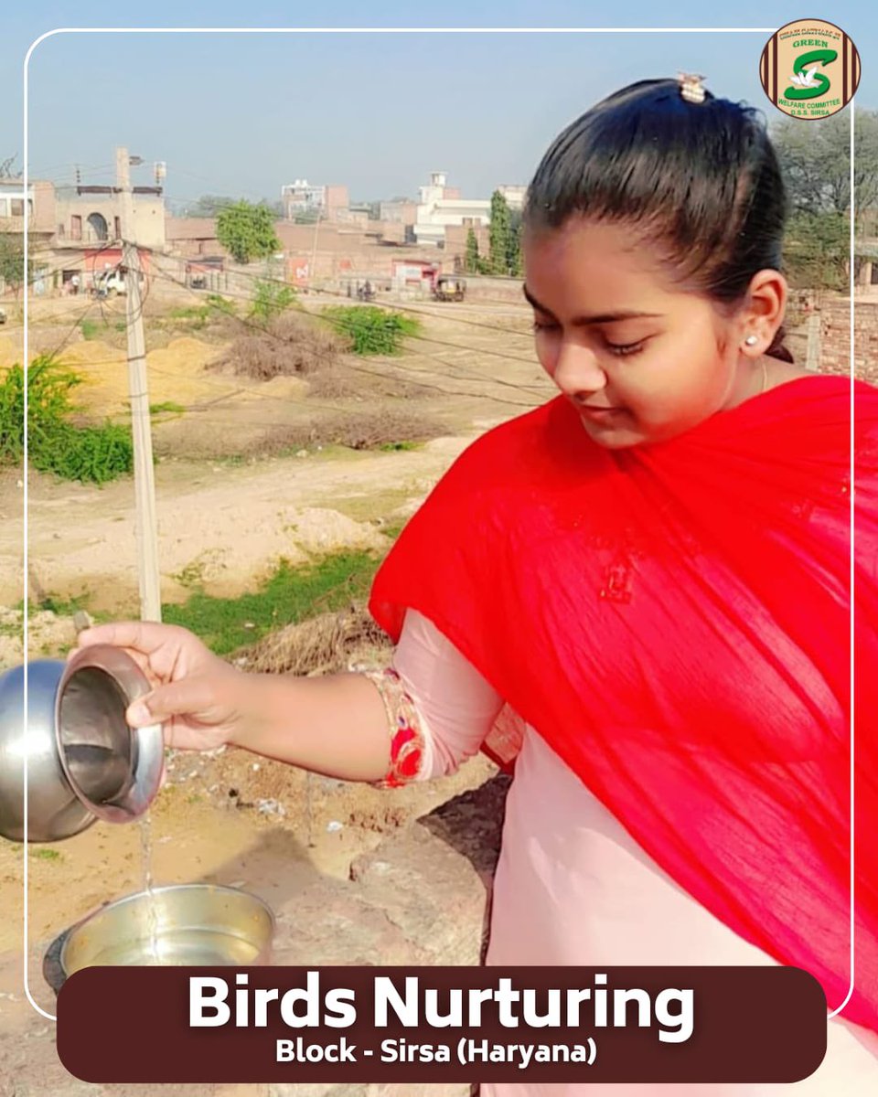 GreenSwelfares's tweet photo. Every drop counts, every act of kindness matters!🌞

With the arrival of summer and the rising temperatures, Shah Satnam Ji Green ‘S’ Welfare Committee volunteers are stepping up to help our feathered🐦  friends. They are placing water and feed on their rooftops, balconies, and in nearby gardens to ensure that birds stay hydrated and nourished during this scorching heat. A small act of kindness can make a big difference in their survival this summer. 

#BirdCare #SummerSupport  #BirdsNurturing