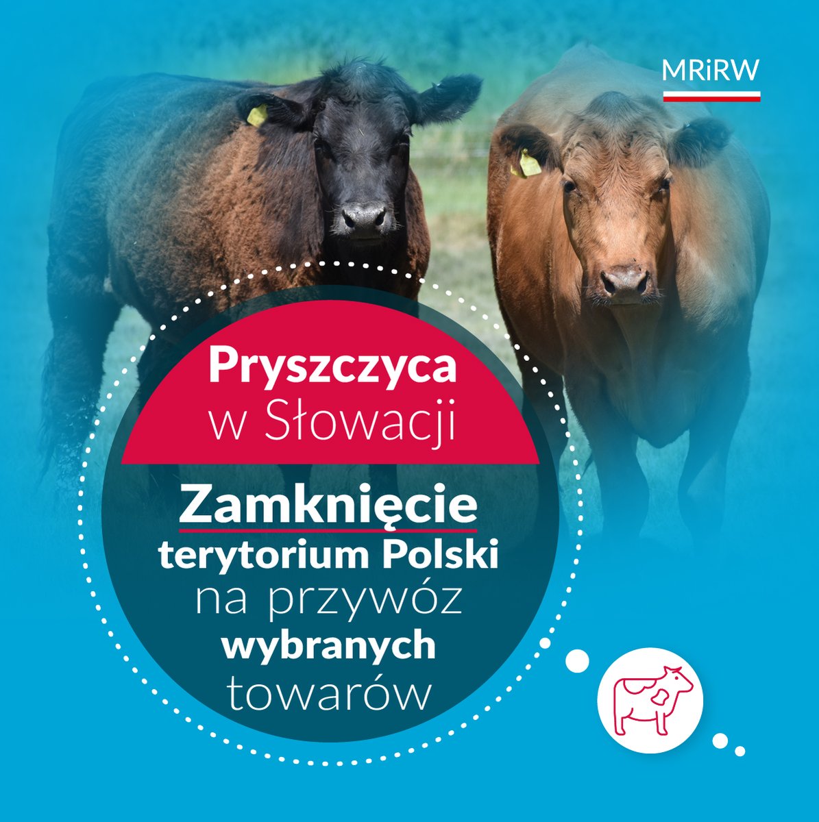 📢Minister Rolnictwa i Rozwoju Wsi podpisał rozporządzenie i zadecydował o zamknięciu ⛔️terytorium Polski na przywóz wybranych towarów ze Słowacji.🇸🇰

✅To reakcja na informację #KE oraz słowackich służb weterynaryjnych o stwierdzeniu trzech ognisk pryszczycy 🦠w gospodarstwach