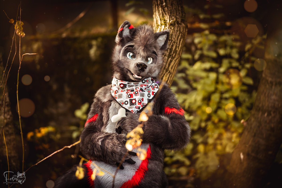 Happy #fursuitfriday 😊

📷: <a href="/xferoxy/">Ferox ✨ 🔜 EAST</a>
🐺: me