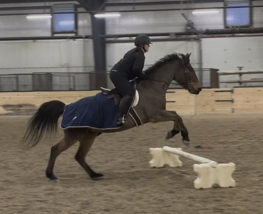 EmmaHurt1976's tweet photo. This #Firebird is taking her #WestPride to Michigan this weekend to compete in the #RideIEA Zone Finals. @westfirebirds @FirebirdTweets @LakotaSupt @LakotaDistrict #HorseShoeShapedHeart https://t.co/FNZbbo8SJh