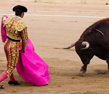 In a move strongly supported by Mayor Clara Brugada, Mexico City will replace deadly bullfighting with bloodless combat between man and beast. Swords and banderillas will be prohibited. #BullFighting #MexicoCity #ClaraBrugada #MexicoCityMayor #WomenMayors
womenmayors.com/north-american…